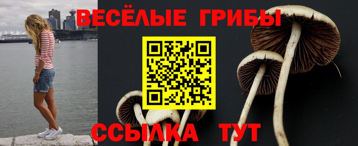 Галлюциногенные грибы MAGIC MUSHROOMS  закладка  Сегежа  Вход с VPN 