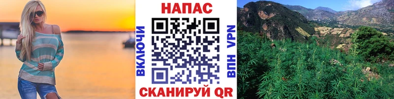 Шишки марихуана тримм  даркнет сайт  Сегежа 