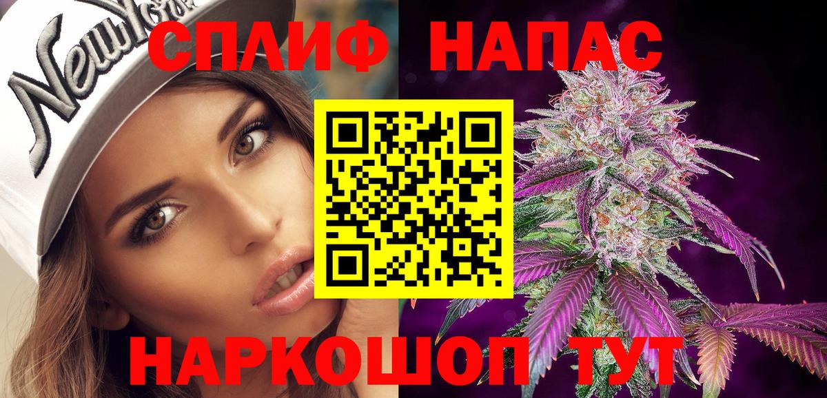 Бошки марихуана конопля Сегежа